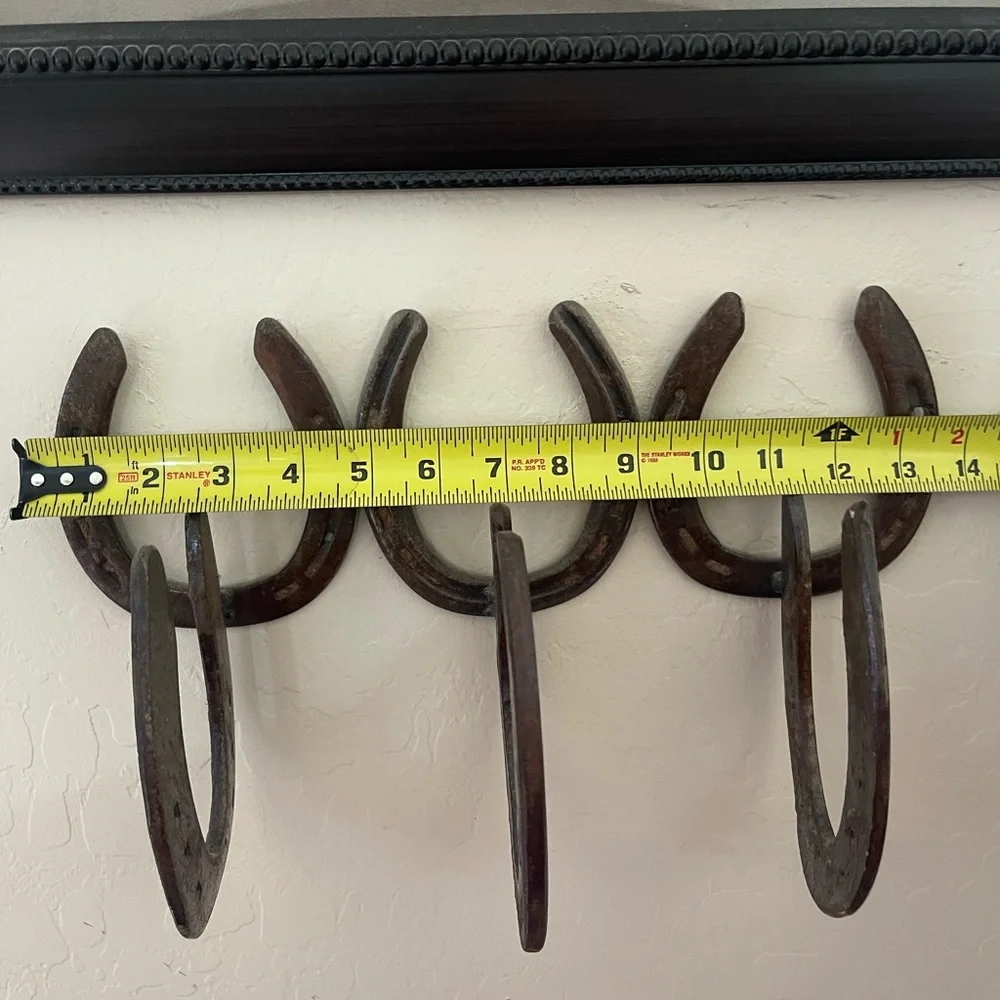 Rustic Horseshoe Wall Hook